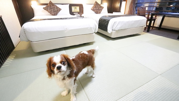 ★愛犬同伴専用★和室ベッドルーム(3名定員/バス無し)